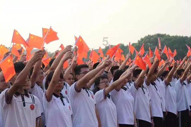 什么牌子破壁机质量好耐用？2024年度必看六大精品！