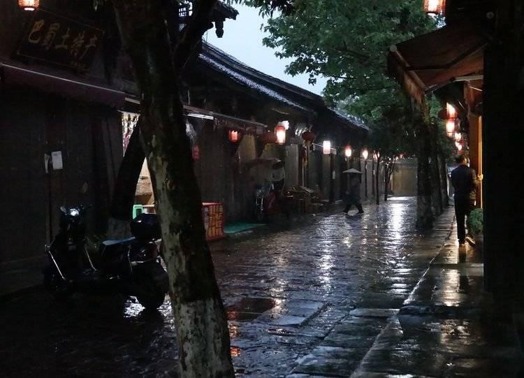 大白猫逃脱
